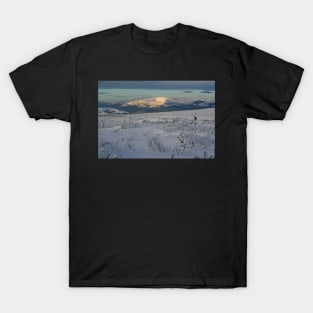 The Ice Age Is Coming T-Shirt